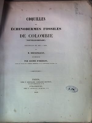 Coquilles et échinodermes fossiles de Colombie (Nouvelle-Grenade) recueillis de 1821 à 1833 par m...