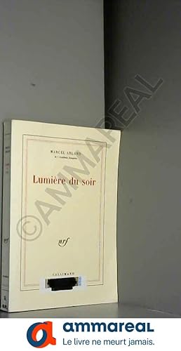 Bild des Verkufers fr Lumire du soir zum Verkauf von Ammareal