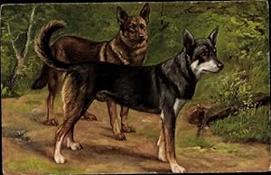 Künstler Ansichtskarte / Postkarte Zwei Schäferhunde, Hundeportrait