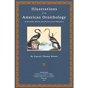 Bild des Verkufers fr Illustrations of the American Ornithology zum Verkauf von Antiquariat  Fines Mundi