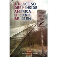 Image du vendeur pour A Place So Deep Inside America It Can't Be Seen: Poems (Sheila-Na-Gig Editions) mis en vente par eCampus