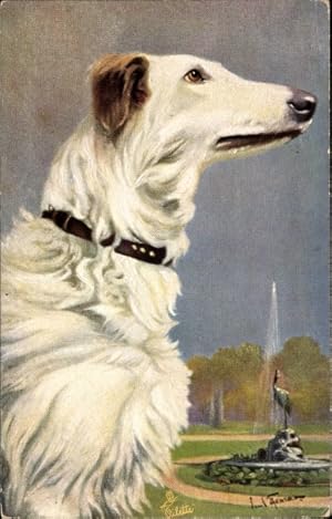 Künstler Ansichtskarte / Postkarte Windhund, Hundeportrait, Levrier Russe - Tuck 6989