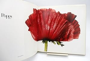irving penn flowers irving penn - Books - AbeBooks