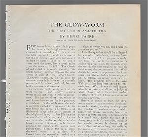 Seller image for The Glow-Worm: The First User Of Anaesthetics for sale by Legacy Books II