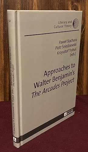 Image du vendeur pour Approaches to Walter Benjamin's The Arcades Project (Literary and Cultural Theory) mis en vente par Palimpsest Scholarly Books & Services