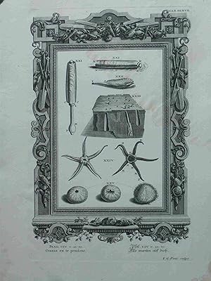 Seller image for Omnia Ex Te Pendent. Alle Warten Auf Dich. Scheuchzer-Bibel. PHYSICA SACRA. 1731. Original engraved Print for sale by Meiwes