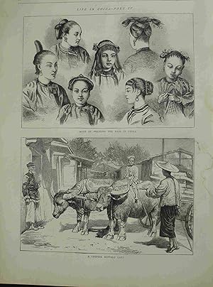 Life in China. Mode of Dressing the Hair in China. A Chinese Buffalo Cart. 1872. Original engrave...