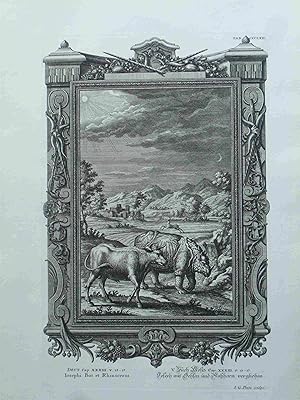 Seller image for Iosephi Bos et Rhinoceros. Joseph Und Ochsen Und Nahorn Verglichen.Scheuchzer-Bibel. PHYSICA SACRA. 1731. Original engraved Print for sale by Meiwes