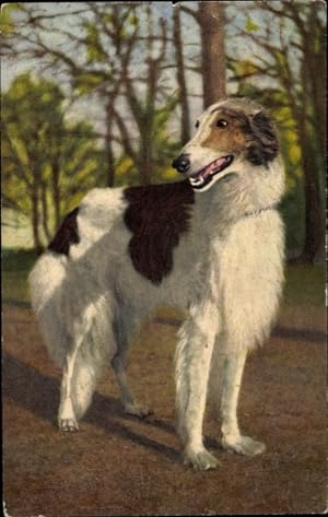 Windhund Postkarte DACHSHUND PK LEVRIER Dackel  &  Irish  Wolfhound 
