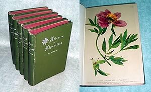 Atlas der Alpenflora. Herausgegeben vom Deutschen und Oesterreichischen Alpenverein. Ausführung d...