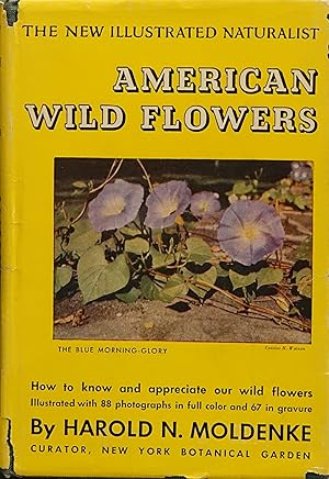 American Wild Flowers (The New Illustrated Naturalist)