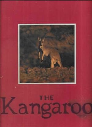 The Kangaroo