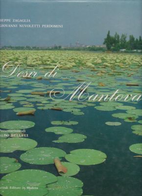 Seller image for Desir di. Mantova for sale by Robinson Street Books, IOBA