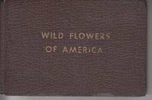 Seller image for Wild Flowers Of America for sale by Robinson Street Books, IOBA