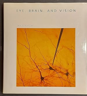 Eye, Brain, and Vision (Scientific American Library)