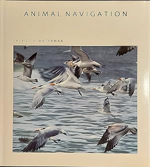 Animal Navigation (Scientific American Library series)