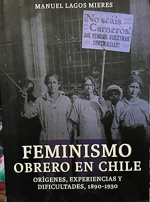Feminismo obrero en Chile : orígenes, experiencias y dificultades, 1890-1930