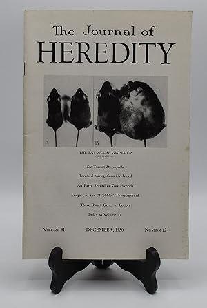 Immagine del venditore per Obese, A New Mutation in the House Mouse [in] The Journal of Heredity Volume 41, Number 12. December 1950 venduto da Open Boat Booksellers