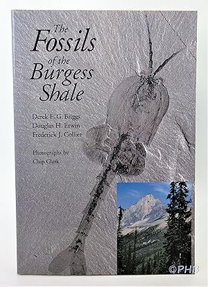 Seller image for The Fossils of the Burgess Shale for sale by Post Horizon Booksellers