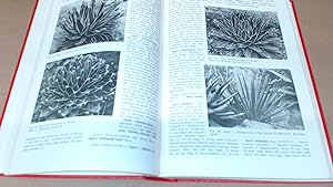 Image du vendeur pour A Handbook of Succulent Plants, Volume 1, Abromeitiella to Euphorbia mis en vente par BoundlessBookstore