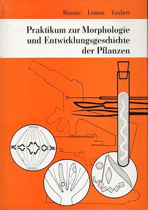 Immagine del venditore per Praktikum zur Morphologie und Entwicklungsgeschichte der Pflanzen venduto da Clivia Mueller