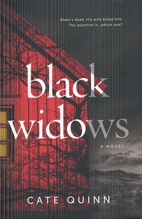 Black Widows: A Domestic Thriller