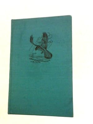 Bild des Verkufers fr Kestrel Klee . Illustrated zum Verkauf von World of Rare Books