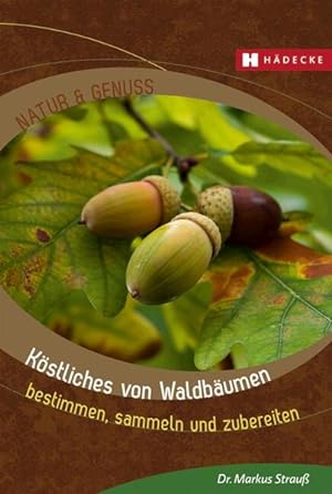Köstliches von Waldbäumen: bestimmen, sammeln und zubereiten (Natur & Genuss)