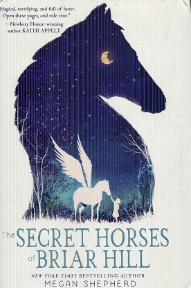 Seller image for The Secret Horses of Briar Hill for sale by The Book Faerie