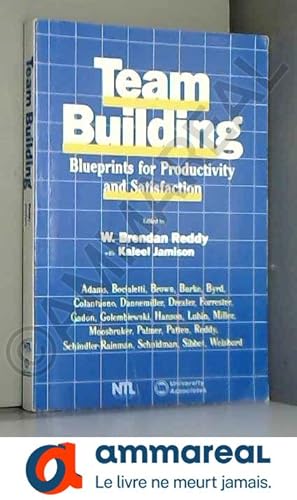 Immagine del venditore per Team Building: Blueprints for Productivity and Satisfaction venduto da Ammareal
