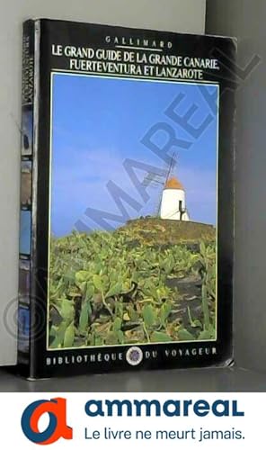 Image du vendeur pour Le Grand Guide des Canaries orientales 1997 mis en vente par Ammareal