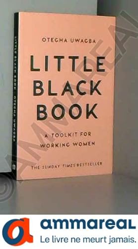 Seller image for Little Black Book: A Toolkit for Working Women for sale by Ammareal