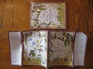 A Child's Book of Wildflowers