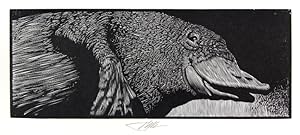The Animals: The Engravings of Barry Moser