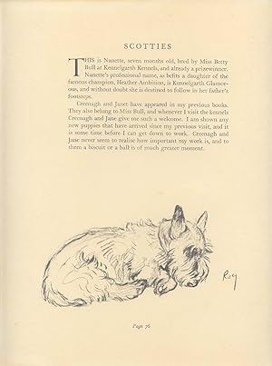 From a Sketch Print by Lucy Dawson;SCOTTISH TERRIER