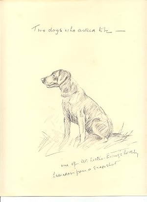 From a Sketch Print by Lucy Dawson;LABRADOR DOG