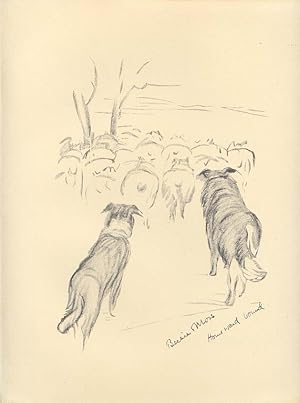 From a Sketch Print by Lucy Dawson;BORDER COLLIES HERDING SHEEP