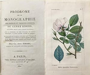 Prodrome de la monographie des espèces et variétés connues du genre rosier, divisées selon leur o...