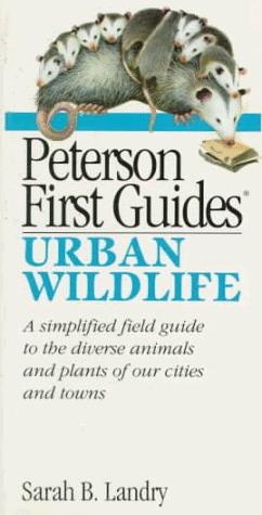 Bild des Verkufers fr Peterson First Guide to Urban Wildlife zum Verkauf von WeBuyBooks