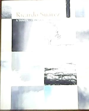 Imagen del vendedor de Ricardo Surez. A travs del paisaje / 2005-2011. a la venta por Librera y Editorial Renacimiento, S.A.