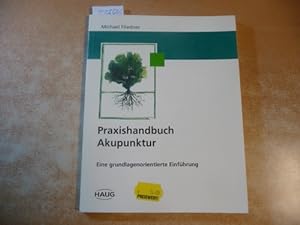 Praxishandbuch Akupunktur - Eine grundlagenorientierte Einführung