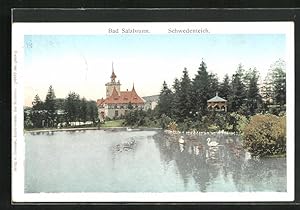 Goldfenster-Ansichtskarte Bad Salzbrunn, Villa am Schwedenteich