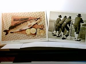 Photo - Porst. 2 x Alte Ansichtskarte / Postkarte / Werbekarte farbig u. s/w, ungel. ca 50 / 60ge...