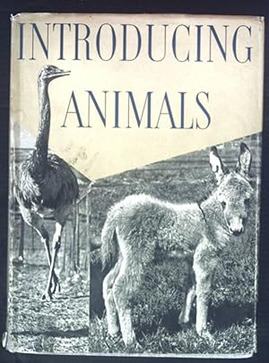 Seller image for Introducing Animals. for sale by books4less (Versandantiquariat Petra Gros GmbH & Co. KG)