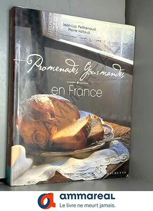 Bild des Verkufers fr Promenades gourmandes en France zum Verkauf von Ammareal
