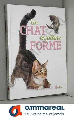 Bild des Verkufers fr Un chat en pleine forme zum Verkauf von Ammareal