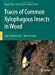 Seller image for Traces of Common Xylophagous Insects in Wood: Atlas of Identification - Western Europe [Hardcover ] for sale by booksXpress