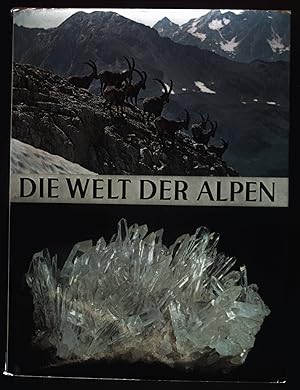 Bild des Verkufers fr Die Welt der Alpen. farbig. Mineralien, Pflanzen, Tiere von der Urzeit bis heute. zum Verkauf von books4less (Versandantiquariat Petra Gros GmbH & Co. KG)