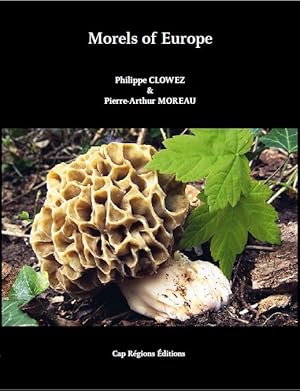 Morels of Europe