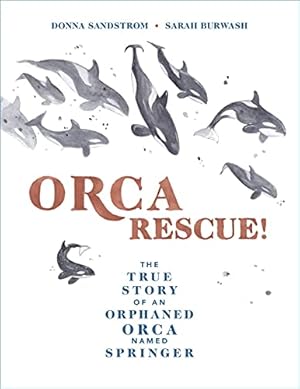 Seller image for Orca Rescue!: The True Story of an Orphaned Orca Named Springer by Sandstrom, Donna [Hardcover ] for sale by booksXpress